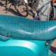 Sellerie pour moto